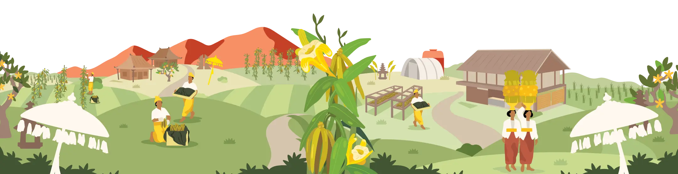 Talasi Village Illustration